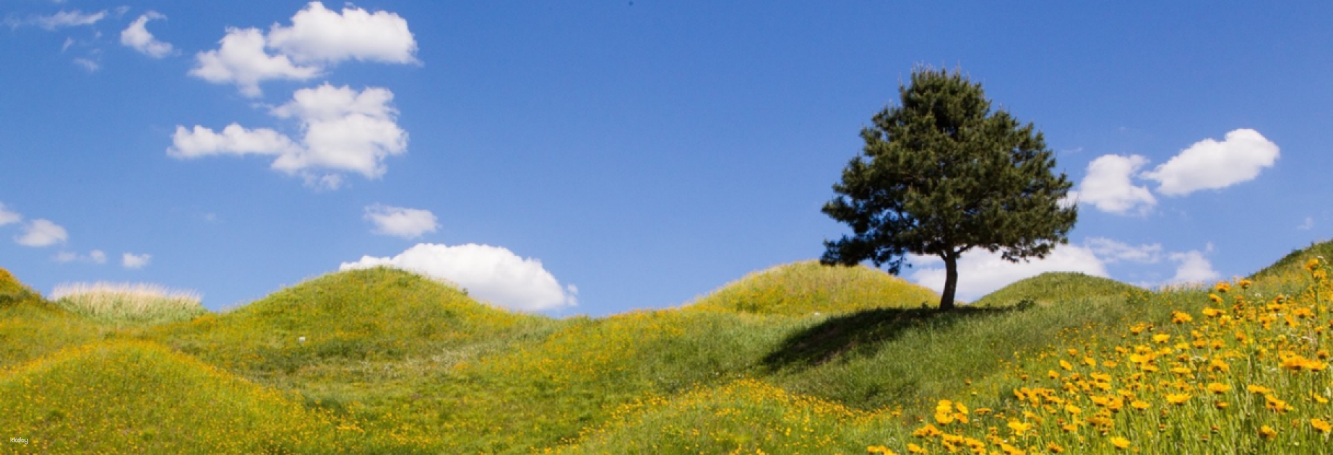 [Transportation Pass] Daegu Palgongsan Mountain Tour - Photo 1 of 8